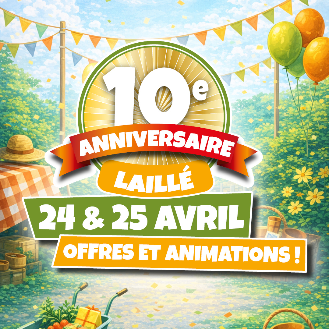 Anniversaire Laillé - 10 ans déjà